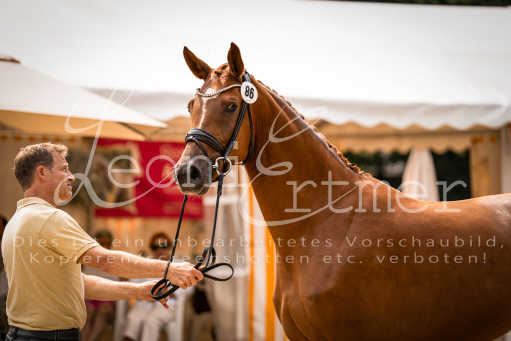 5.Fr00049 | Leoni Ertmer Photography - Realisiert mit Pictrs.com