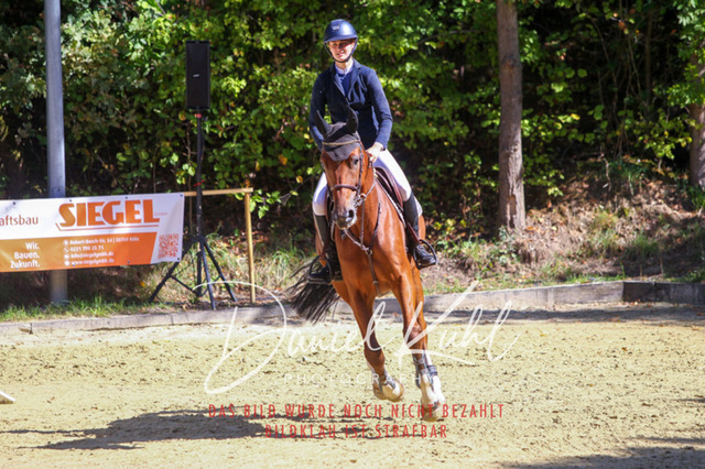 DKP43218 | Deine Turnierfotos vom Reitturnier online kaufen: Dressur, Springen & Siegerehrung. Professionelle Pferdefotografie aus dem Rheinland – als Download & Print.Alternative: Turnierfotograf für den Pferdesport: Finde deine Fotos von Dressur- und Springturnier