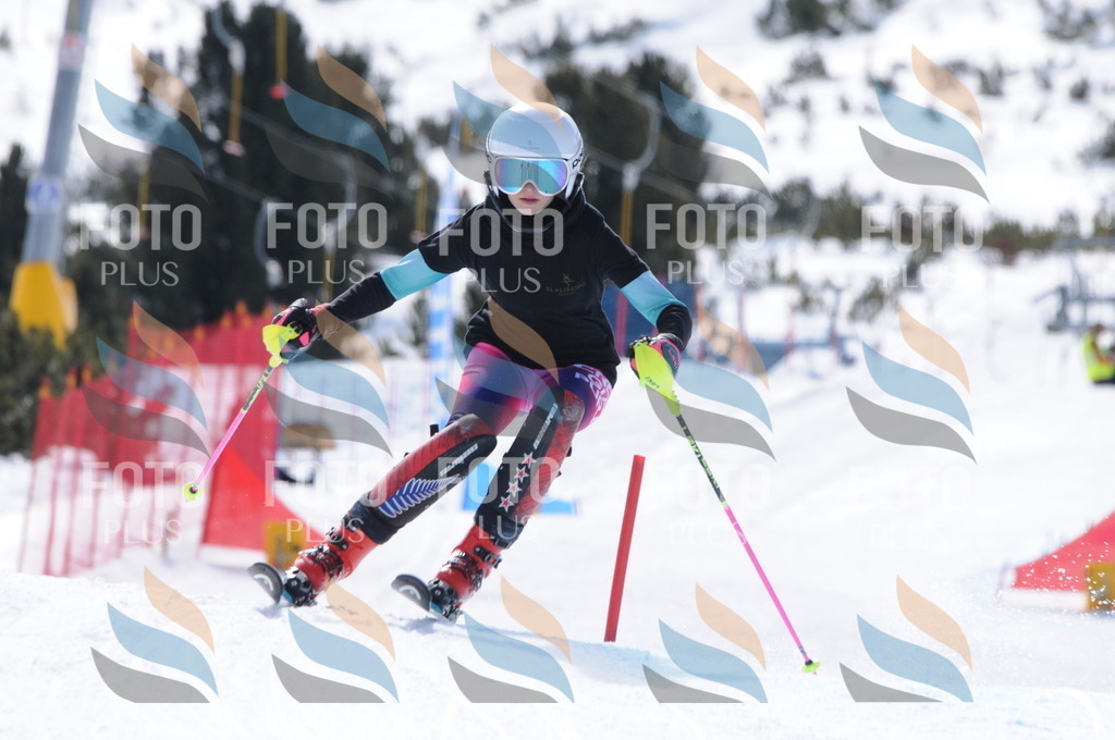 C9907 | holidayphoto