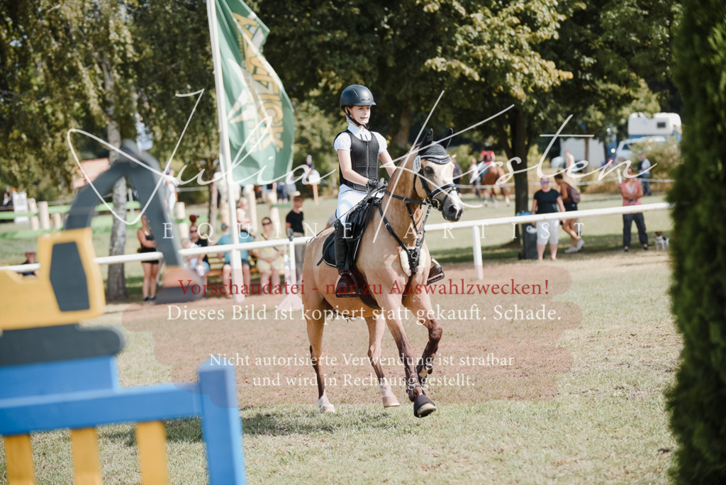 DSC_5312 | Pferde- und Turnierfotografie in Westsachsen. Pferdeportraits, Auftragszeichnungen und intuitive Kunst.