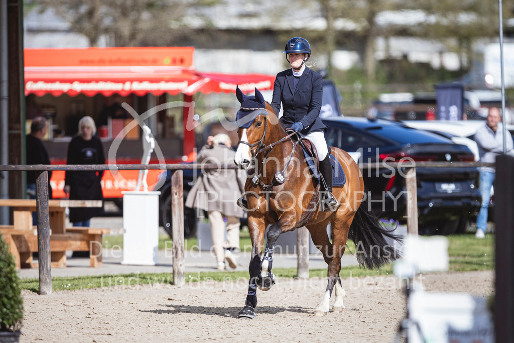 250419_Frühlingsfest_A-Stil1-446 | Deine schönsten Turniermomente als professionelle Fotos! Entdecke hochwertige Pferdesport-Fotografie im Online-Shop. Jetzt Fotos finden & bestellen!