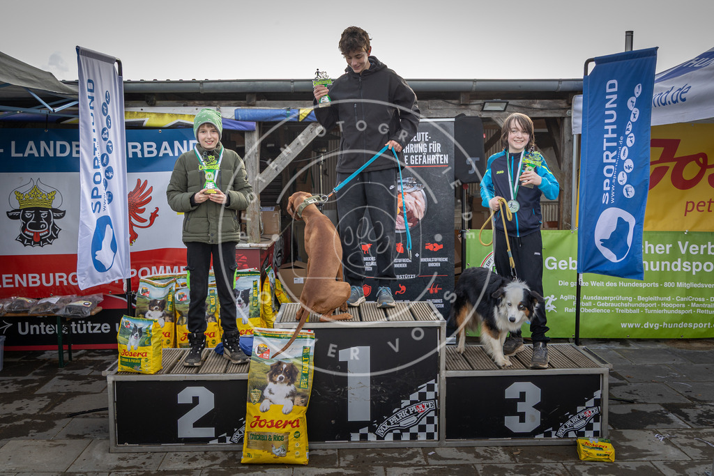 0L8A9270 | Hundefotografie, Tierfotograf, Pfotenfotografie, Fotoshooting Hund, Hunde Portrait, Hundesport, Hundeportraits, Heideshooting, Hunde, Sportfotograf, Hundefotograf, Turnierhundsport, THS,  - Realisiert mit Pictrs.com