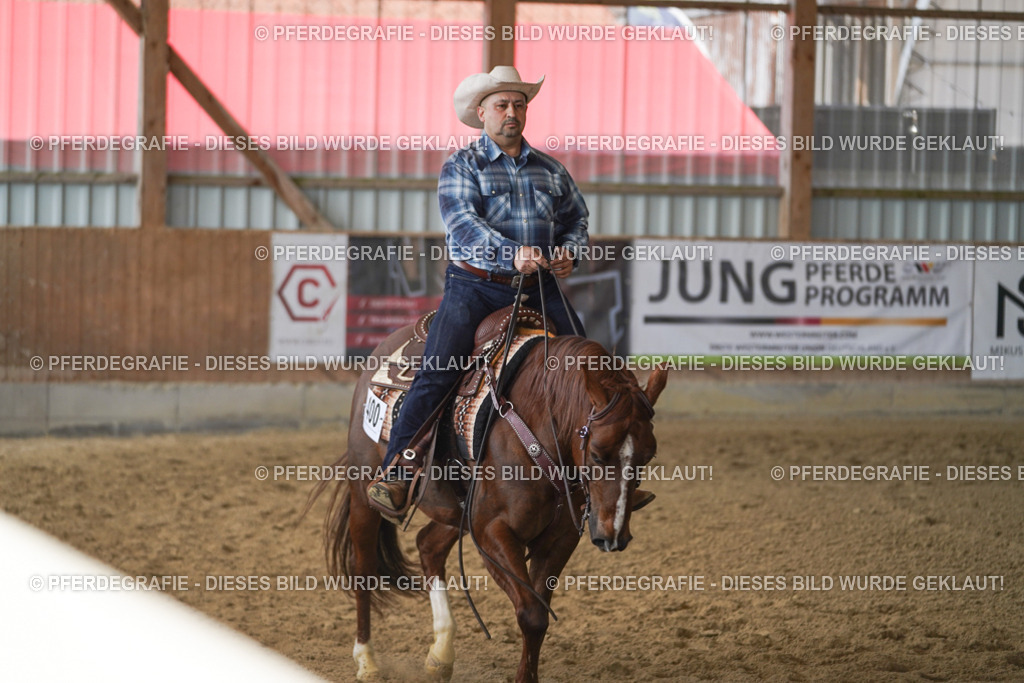 DSC00343 | Pferdegrafie