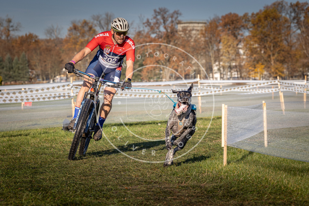 CaniXpix_0L8A4462 | Hundefotografie, Tierfotograf, Pfotenfotografie, Fotoshooting Hund, Hunde Portrait, Hundesport, Hundeportraits, Heideshooting, Hunde, Sportfotograf, Hundefotograf, Turnierhundsport, THS,  - Realisiert mit Pictrs.com
