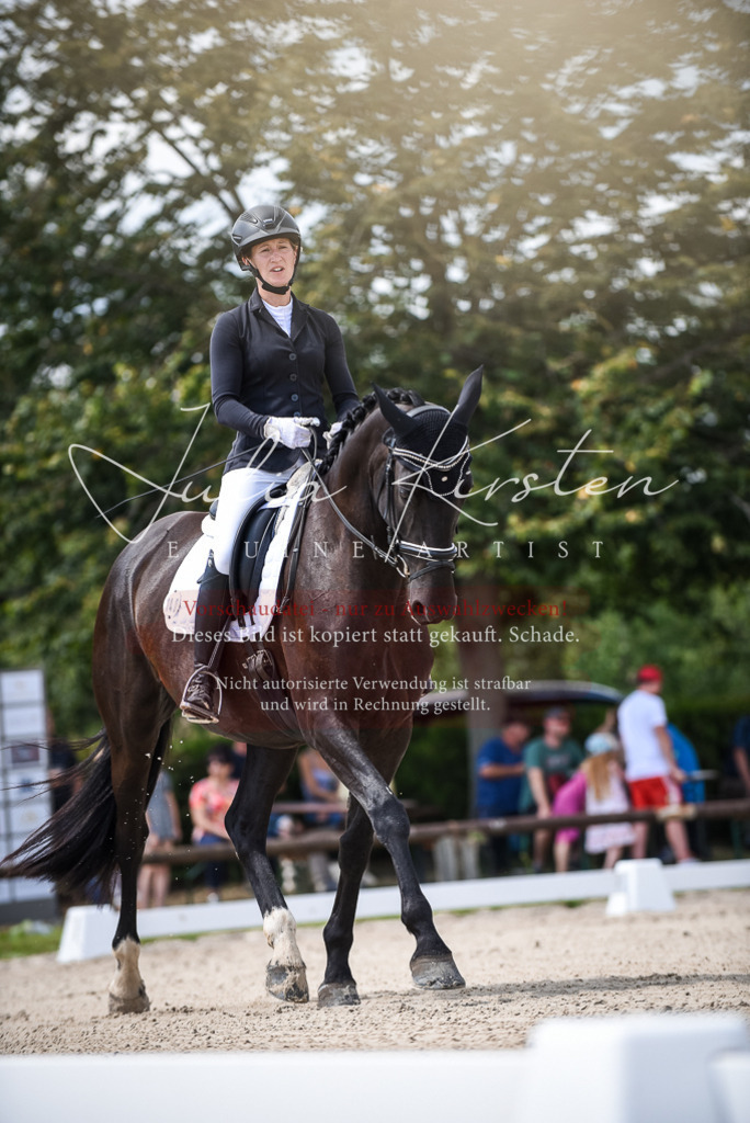 DSC_9049 | Pferde- und Turnierfotografie in Westsachsen. Pferdeportraits, Auftragszeichnungen und intuitive Kunst.