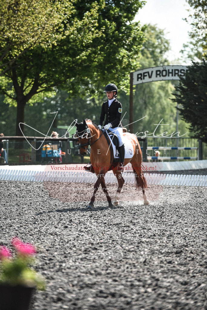 DSC_8982 | Pferde- und Turnierfotografie in Westsachsen. Pferdeportraits, Auftragszeichnungen und intuitive Kunst.