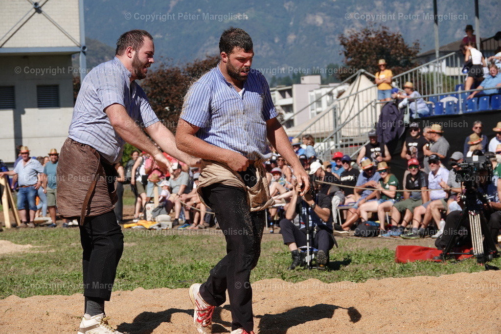 DSC01729 | Schwingen - Realisiert mit Pictrs.com