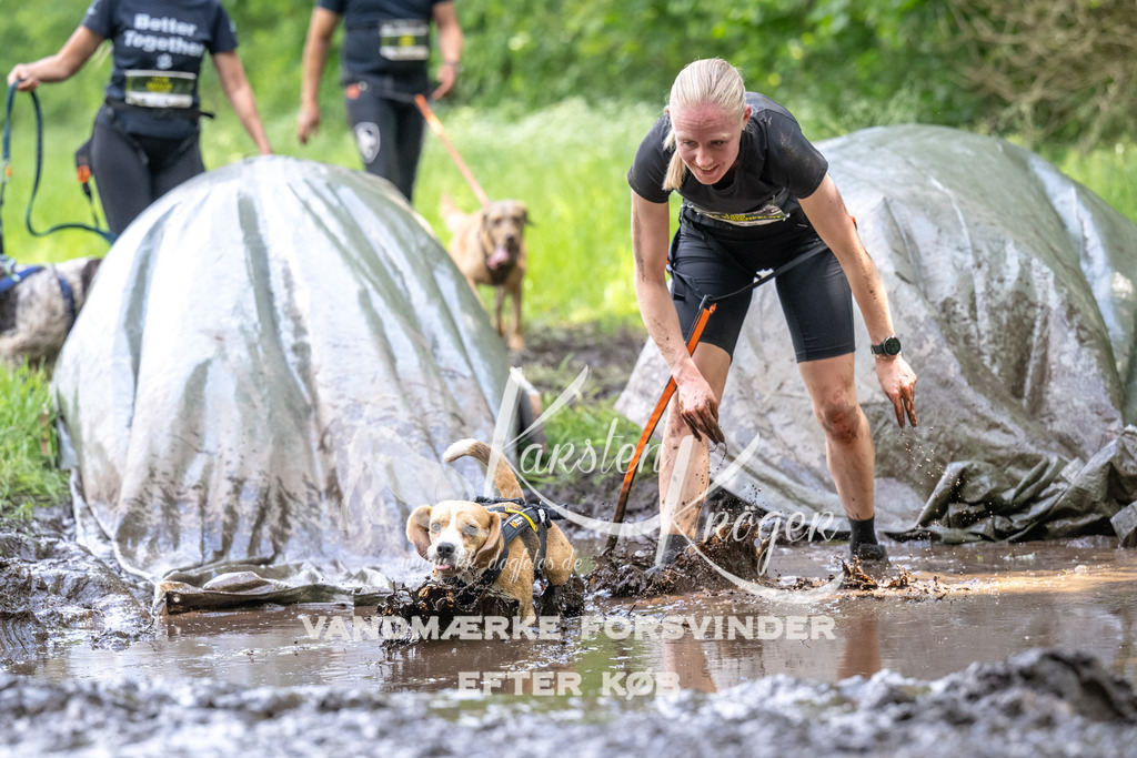 1305_ZZ94844 | kk-dogfotos