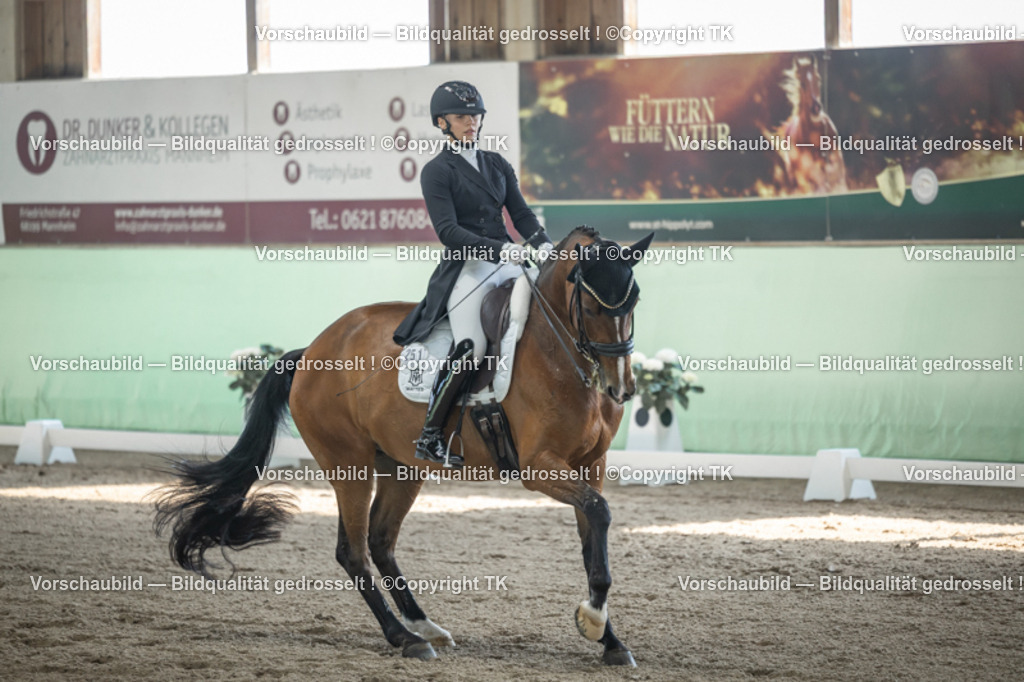 _D5A9550 | Emotionale Pferde- & People-Fotografie rund um Heidelberg, Leimen & Umgebung. Natürliche Fotos von Pferd, Mensch & Familie. Jetzt Termin sichern!