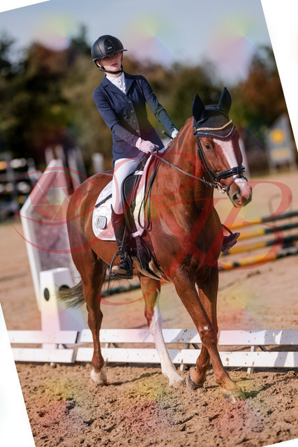 2026_10_03_Siefer-Hof_132739_Z81_82600401 | Professionelle Reitsport-, Turnier- und Eventfotografie von Robert Broda. Galerien mit ausgewählten und bearbeiteten Bildern direkt online ansehen und bestellen.