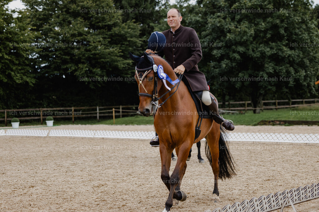 Gernot25_FHC2025-25869 | working equitationturnier fotograf videograf stoibphotography marixx film working equitation deutschland reitsport turnierfotografie eventfotografie equestrian events