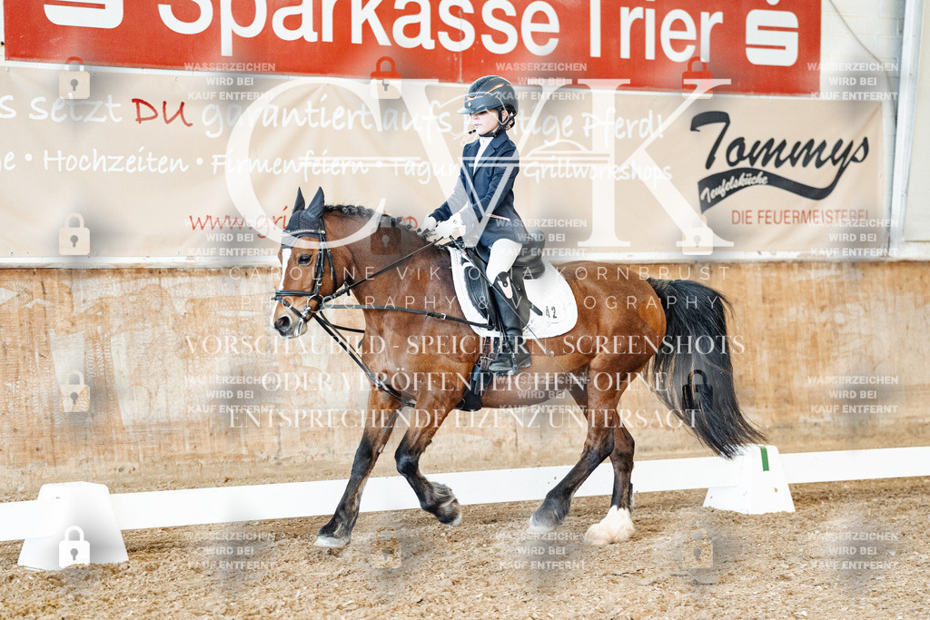 CK900506 | Turnierfotografie Pferdefotografie Trier Rheinland-Pfalz Pferdesport Reitsport Tierfotografie Sportfotografie Pferdevideo Pferdevideografie Equestrianvideography equestrianphotography  - Realisiert mit Pictrs.com