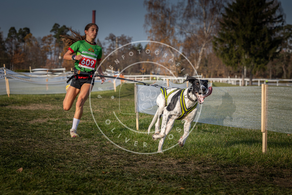 CaniXpix_0L8A9831 | Hundefotografie, Tierfotograf, Pfotenfotografie, Fotoshooting Hund, Hunde Portrait, Hundesport, Hundeportraits, Heideshooting, Hunde, Sportfotograf, Hundefotograf, Turnierhundsport, THS,  - Realisiert mit Pictrs.com