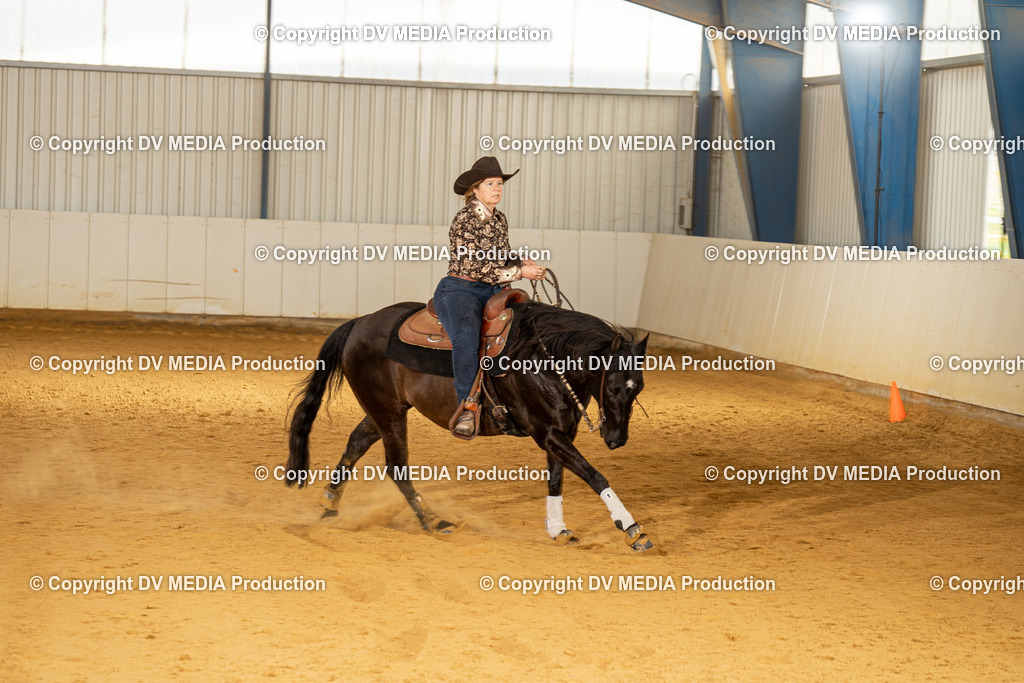 MIT00174 | dv-media-shop - Realisiert mit Pictrs.com