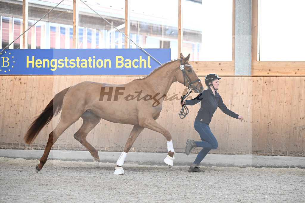Kat-Nr. 76 Svarovski v. Morricone III_Fischer_5251982 | hf-fotografie - Realizzato con Pictrs.com
