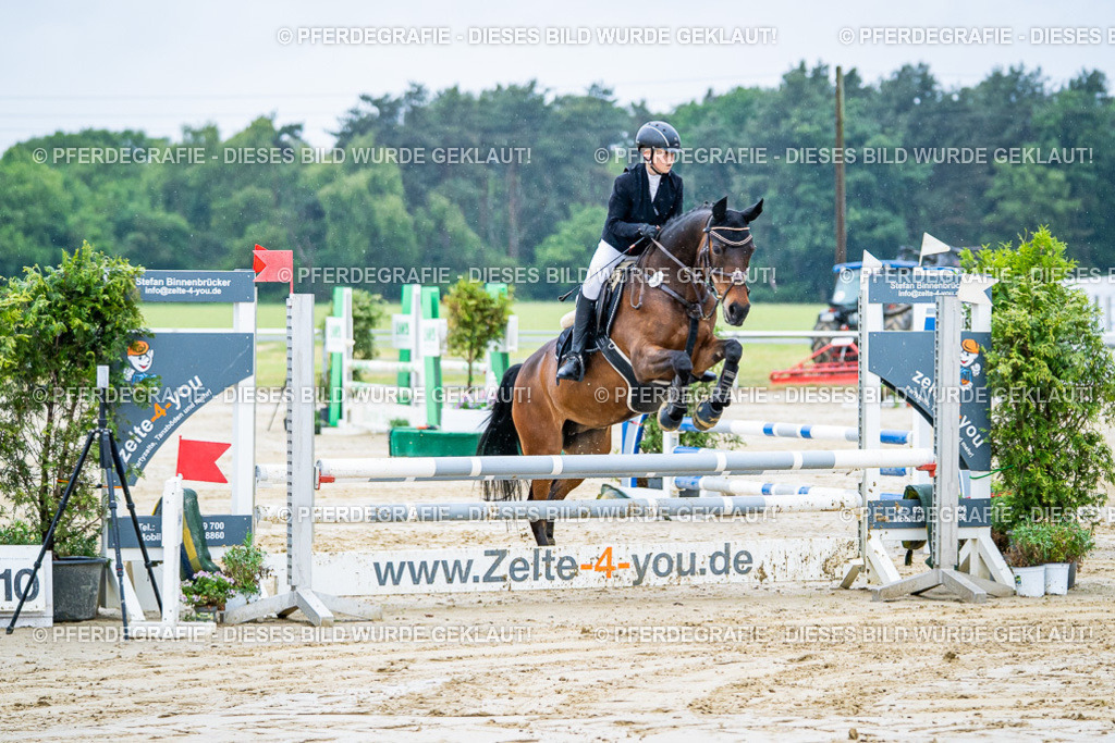 DSC01411 | Pferdegrafie