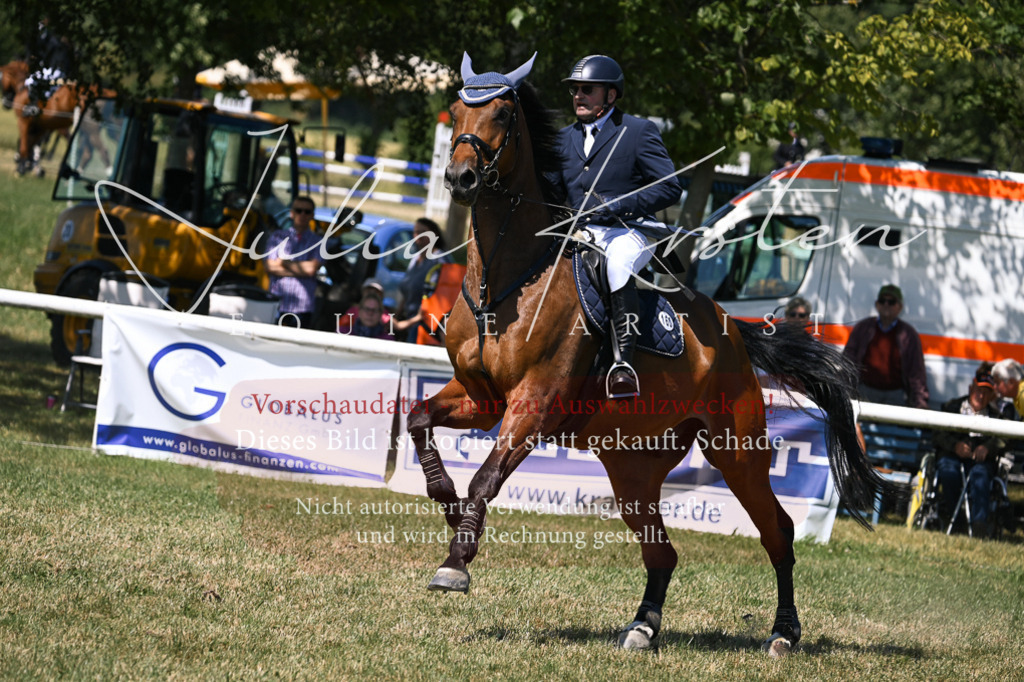 DSC_0191 | Pferde- und Turnierfotografie in Westsachsen. Pferdeportraits, Auftragszeichnungen und intuitive Kunst.