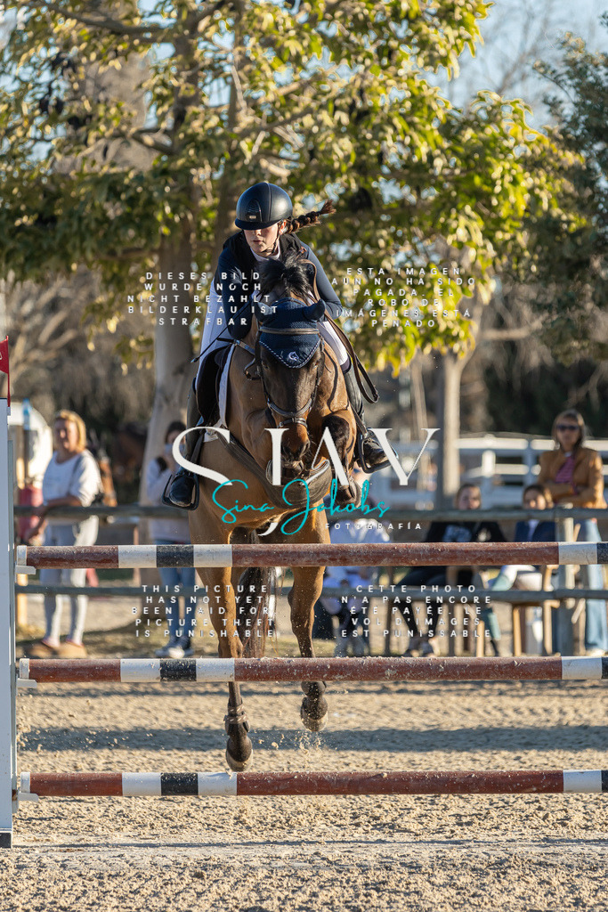 IMG_2447 | s-jay-photography - Realisiert mit Pictrs.com