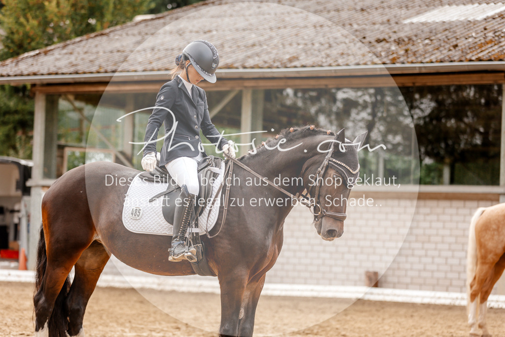 3I6A7902 | Stimmungsvolle Portraits und Reitsportfotografie im Ruhrgebiet und im Münsterland.

Pferdefotografie, Hundefotografie, Tierfotografie, Reportagen, Portraits von Tier und Mensch, Turnierfotografie in Bochum, Recklinghausen, Marl, Haltern am See, Dülmen.. - Realisiert mit Pictrs.com