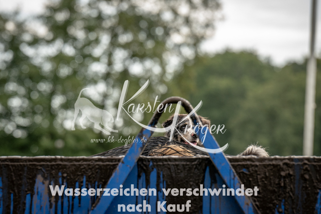 1021_ZZ91220 | kk-dogfotos