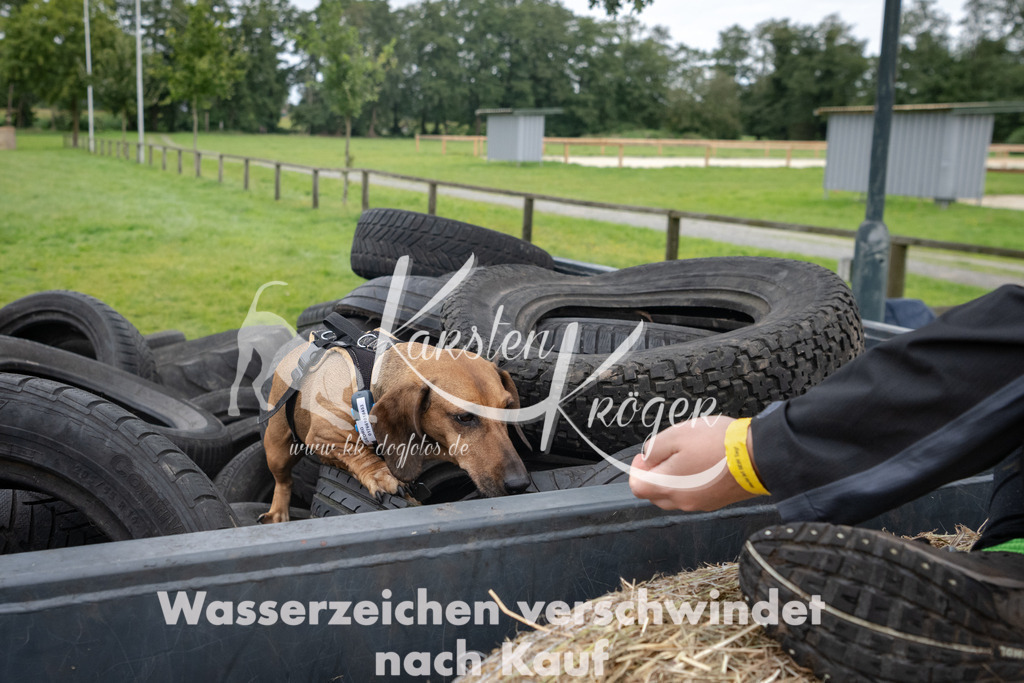 1211_ZZ94807 | kk-dogfotos