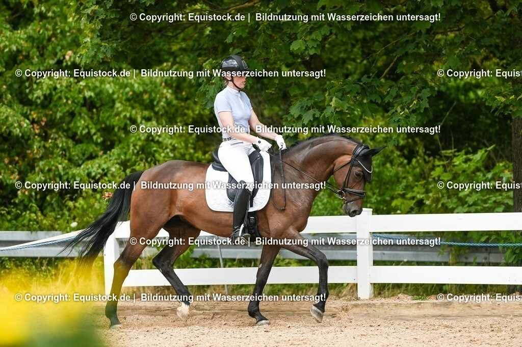 20230715_02_Dressurreiterprüfung Kl.L_0418 | equistock