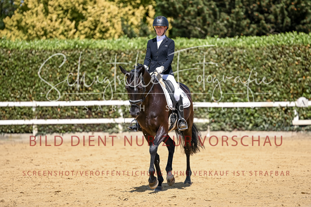 Schugtsche-Aluta25-49.Dressurpferdeprf.A-280 | Schugtsche Fotografie - Realisiert mit Pictrs.com
