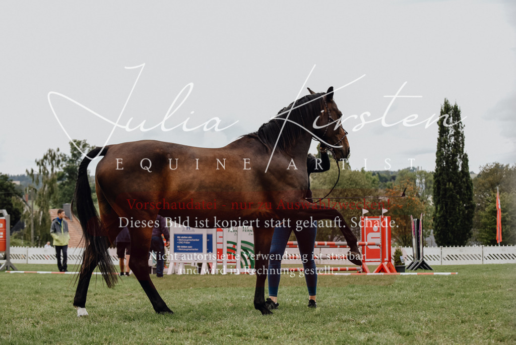 DSC_3948 | Pferde- und Turnierfotografie in Westsachsen. Pferdeportraits, Auftragszeichnungen und intuitive Kunst.