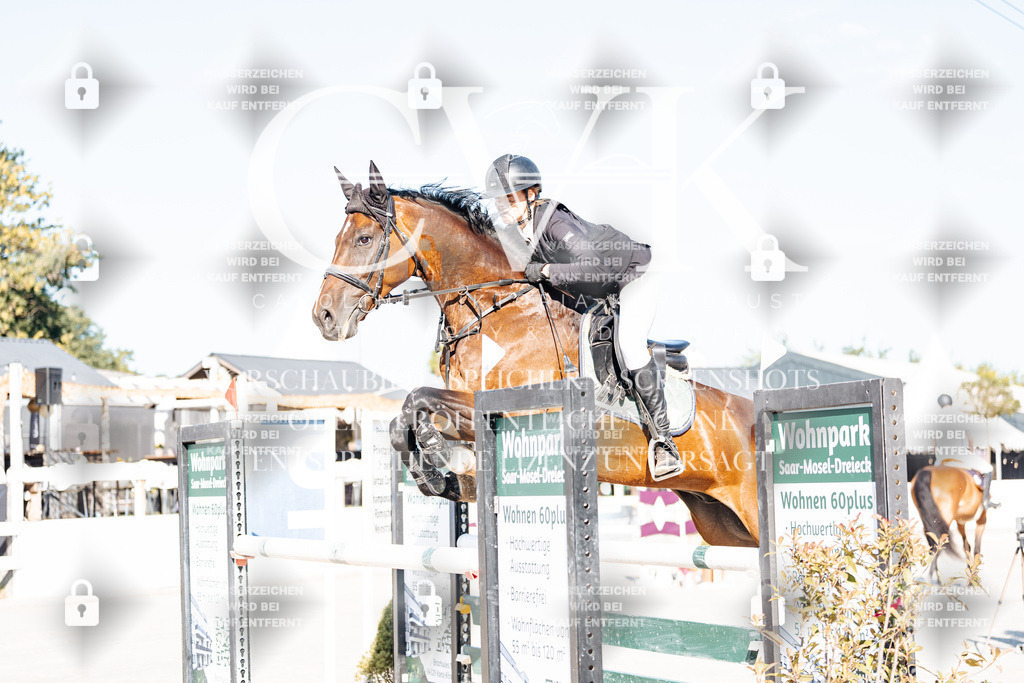 CK904114 | Turnierfotografie Pferdefotografie Trier Rheinland-Pfalz Pferdesport Reitsport Tierfotografie Sportfotografie Pferdevideo Pferdevideografie Equestrianvideography equestrianphotography  - Realisiert mit Pictrs.com