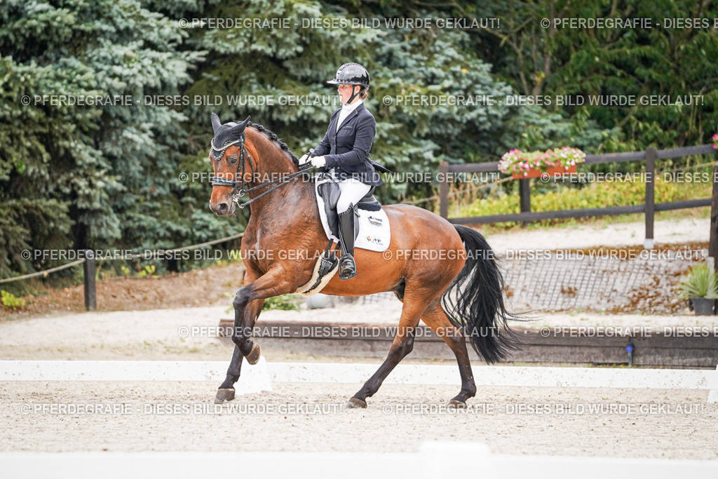 DSC08276 | Pferdegrafie