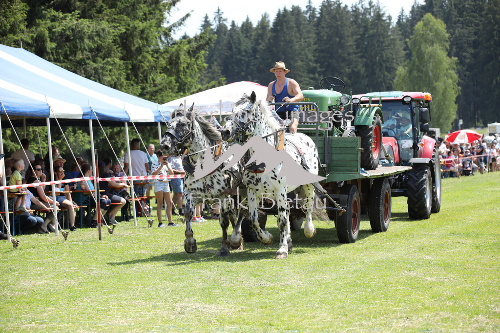 OE7A4594 | Beim Zugpferdetreffen in Poschedtsried galt es verschiedene Wettbewerbe zu meistern, Einzelrennen im Reiten, Traktorpulling und auch ein Hunderennen wurde veranstaltet