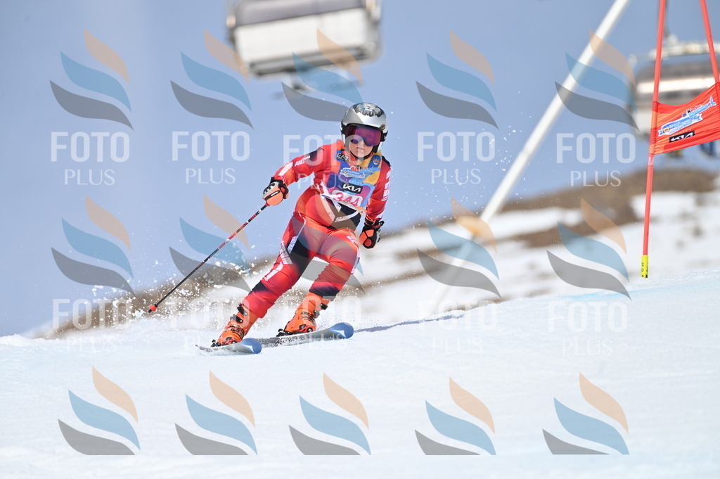 BGV_3516 | holidayphoto