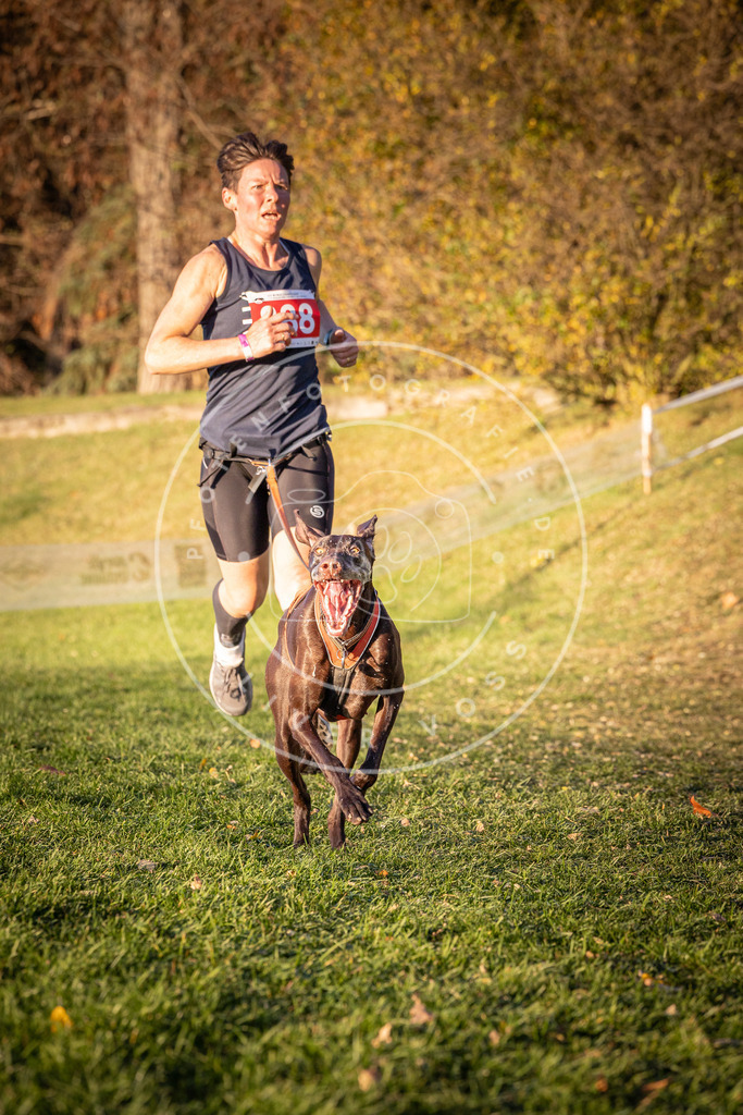 CaniXpix_0L8A1236 | Hundefotografie, Tierfotograf, Pfotenfotografie, Fotoshooting Hund, Hunde Portrait, Hundesport, Hundeportraits, Heideshooting, Hunde, Sportfotograf, Hundefotograf, Turnierhundsport, THS,  - Realisiert mit Pictrs.com