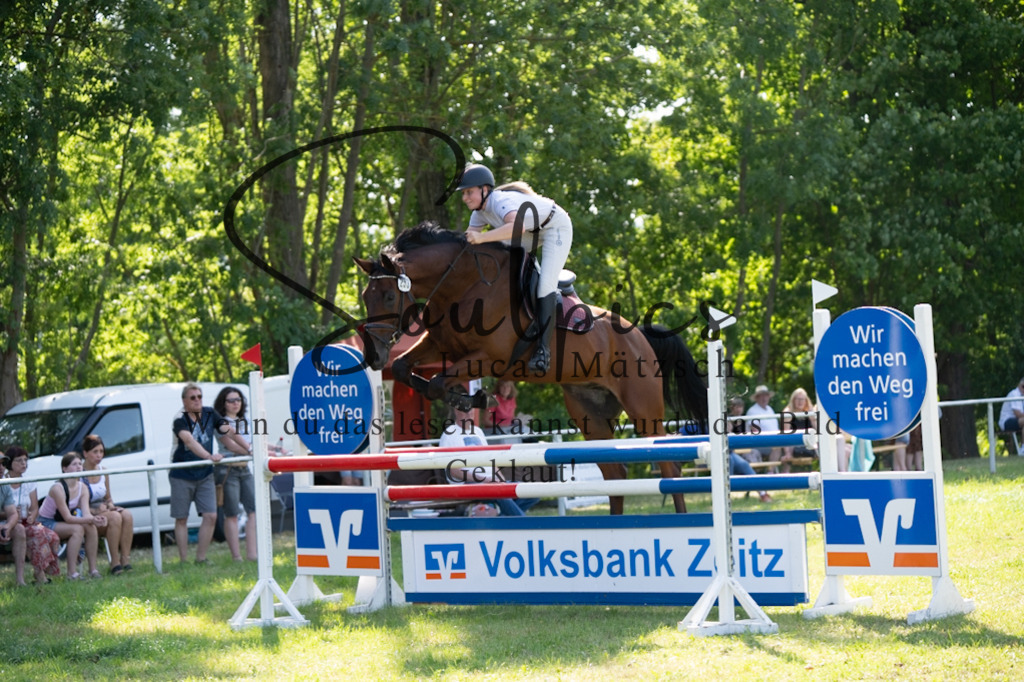 A7V06628 | Pferdefotograf