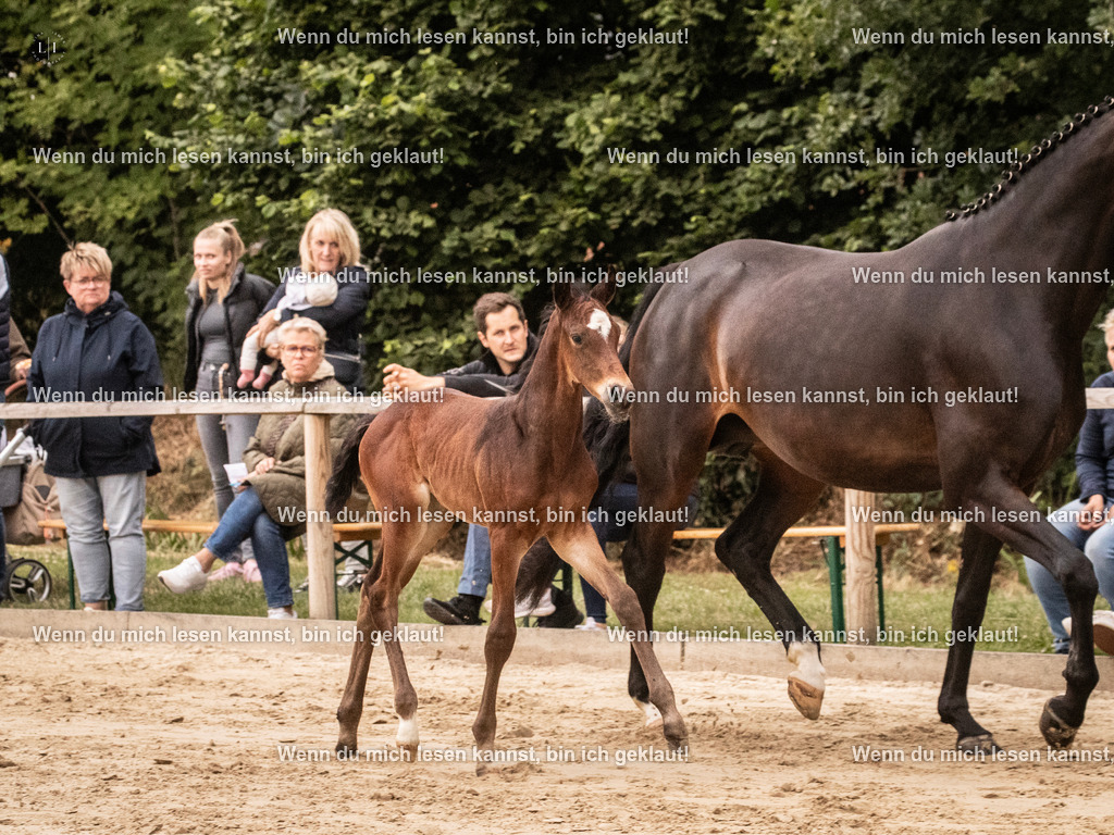 A10I3842 15.58.11 | photographylinaismer - Realisiert mit Pictrs.com