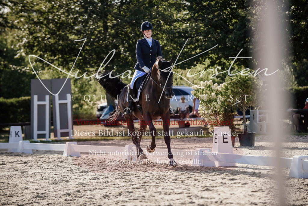 DSC_0577 | Pferde- und Turnierfotografie in Westsachsen. Pferdeportraits, Auftragszeichnungen und intuitive Kunst.