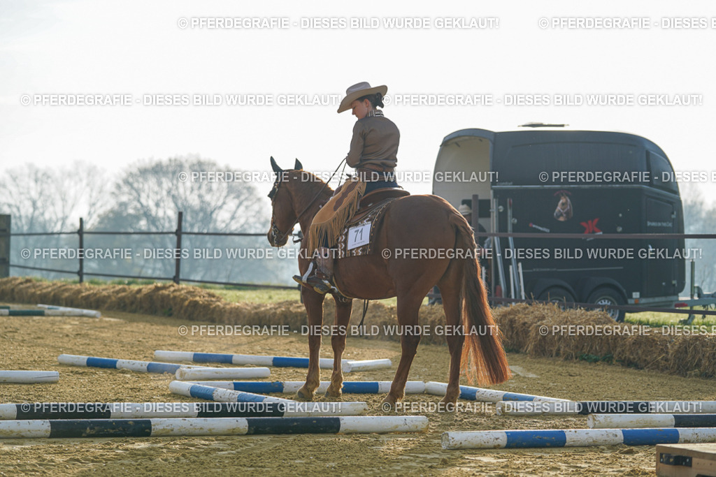 DSC09740 | Pferdegrafie