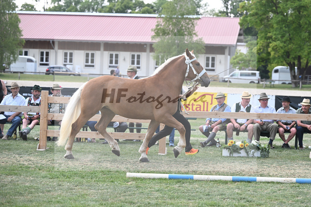 Kat-Nr. 58 Kenia_Schroeder_20230937 | hf-fotografie - Realisiert mit Pictrs.com