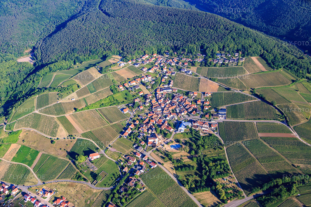 Luftbild: Ortsansicht von Osten im Ortsteil Gleiszellen in Gleiszellen-Gleishorbach im Bundesland Rheinland-Pfalz in Deutschland. Foto: IMG_079992.jpg vom 05.06.2015 durch Werner Riehm/FLY-FOTO.de