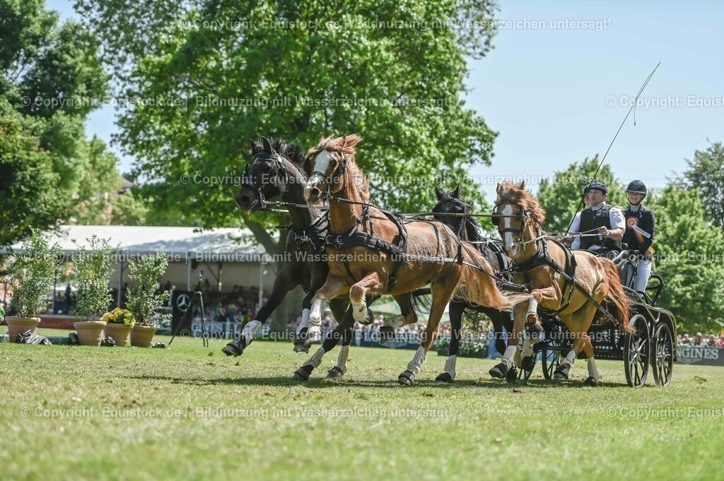 20230528_Jump-and-Drive_0274 | equistock