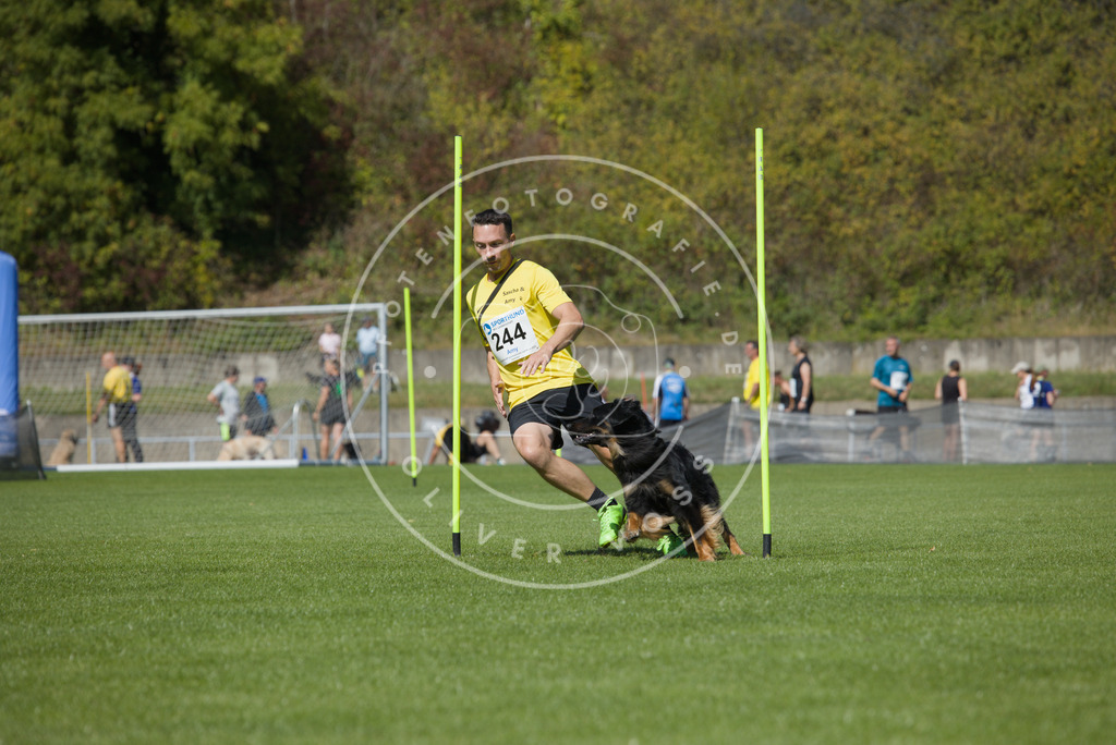 0L8A6197 | Hundefotografie, Tierfotograf, Pfotenfotografie, Fotoshooting Hund, Hunde Portrait, Hundesport, Hundeportraits, Heideshooting, Hunde, Sportfotograf, Hundefotograf, Turnierhundsport, THS,  - Realisiert mit Pictrs.com