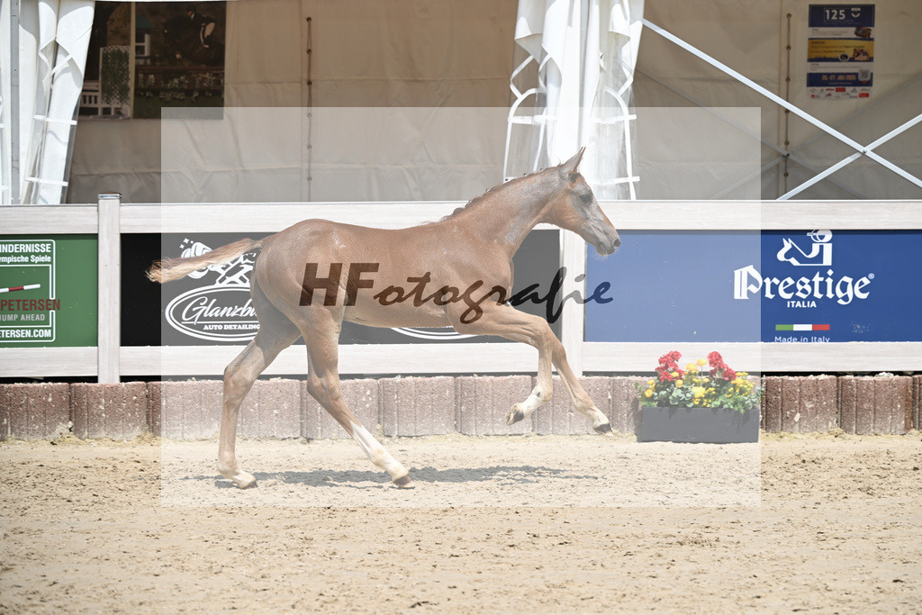 Arezzo Man x Clearway_HF_Maier u Mayerfoels_12250692 | hf-fotografie - Realisiert mit Pictrs.com