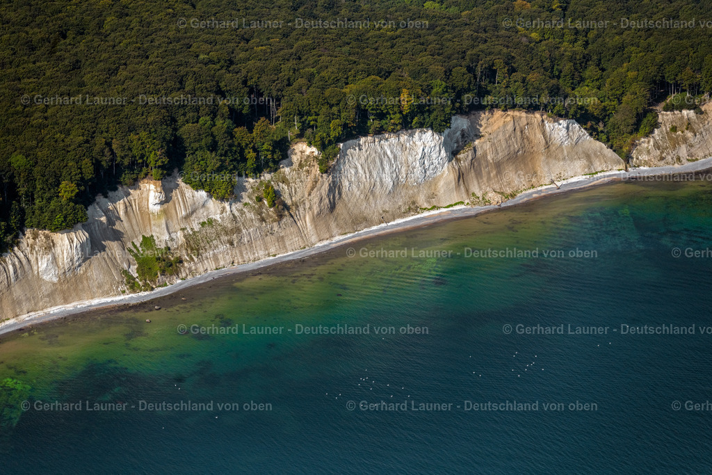 4061378 | SASSNITZ 08.09.2021 Blick auf die Kreideküste im Nationalpark Jasmund bei Sassnitz auf der Insel Rügen in Mecklenburg-Vorpommern. Der markante Felsvorsprung Königsstuhl befindet sich in der Umgebung der Stubbenkammer in dem seit 1990 bestehenden Nationalpark am Ufer zur Ostsee mit einem Buchenwald, der teilweise zum UNESCO-Welterbe gehört. // View of the chalk cliff coast in the National Park Jasmund near Sassnitz on the island Ruegen in Mecklenburg-West Pomerania. Foto: Gerhard Launer