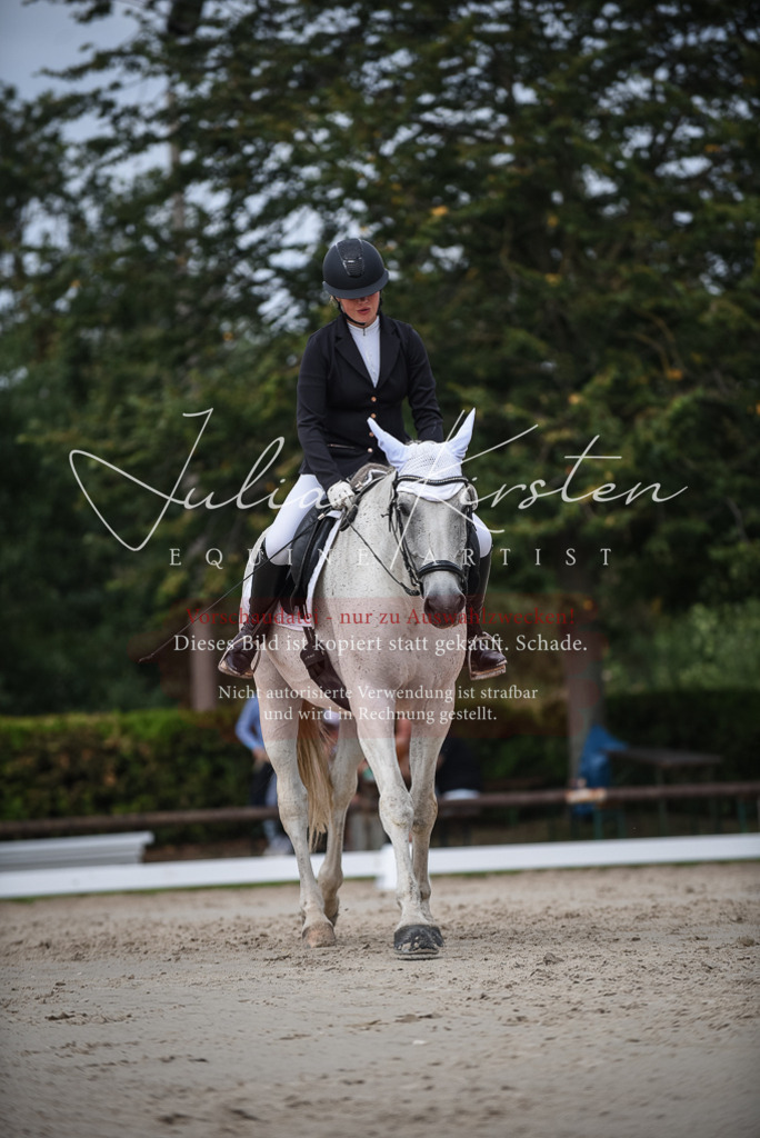 DSC_8517 | Pferde- und Turnierfotografie in Westsachsen. Pferdeportraits, Auftragszeichnungen und intuitive Kunst.