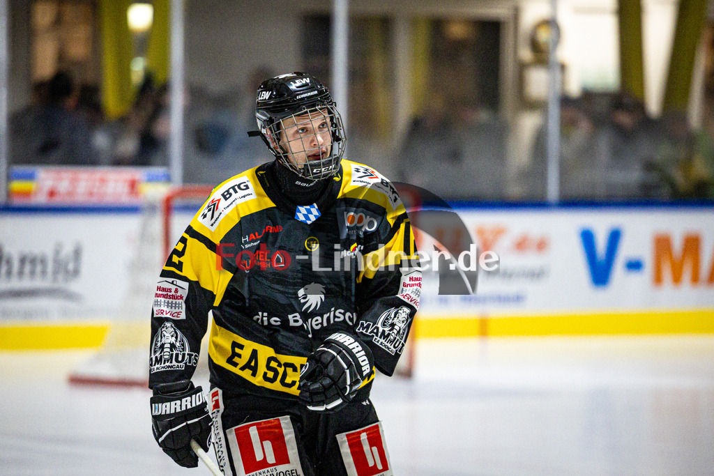 EA Schongau MANNUTS gegen VfE Ulm/Neu-Ulm DEVILS | Eishockey Bayernliga 2025/26 Vorrunde 6 Spieltag, EA Schongau MANNUTS gegen VfE Ulm/Neu-Ulm DEVILS, 20251031,Portrait,2025-10-31 in Schongau (Eisstadion Schongau), Felix MERKLE (EA Schongau MAMMUTS 12)Copyright: WolfgangxLindner www.foto-lindner.de