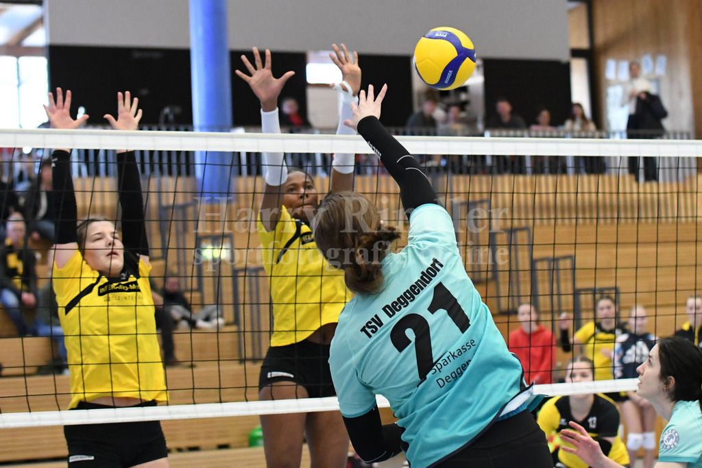 TSV Deggendorf Damen  : FC Ruderting | TSV Deggendorf Damen Volleyball - Realisiert mit Pictrs.com