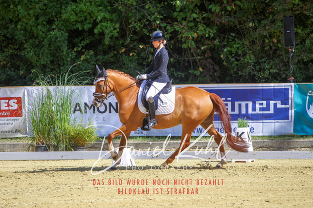 DKP41991 | Turniersportfotografie; Pferdefotografie; Dressurfotografie