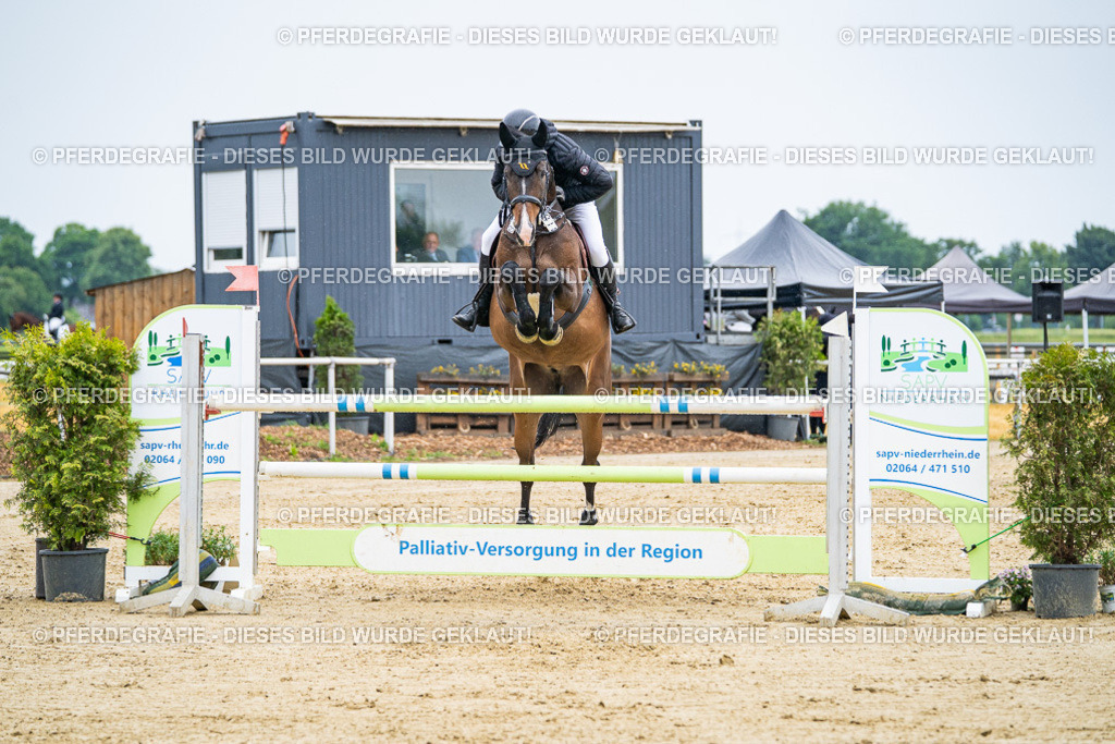 DSC09046 | Pferdegrafie