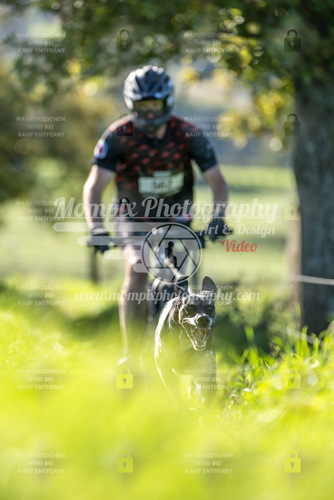 MompixPhotography_20TSB_E3_DS1-76 | PayLife