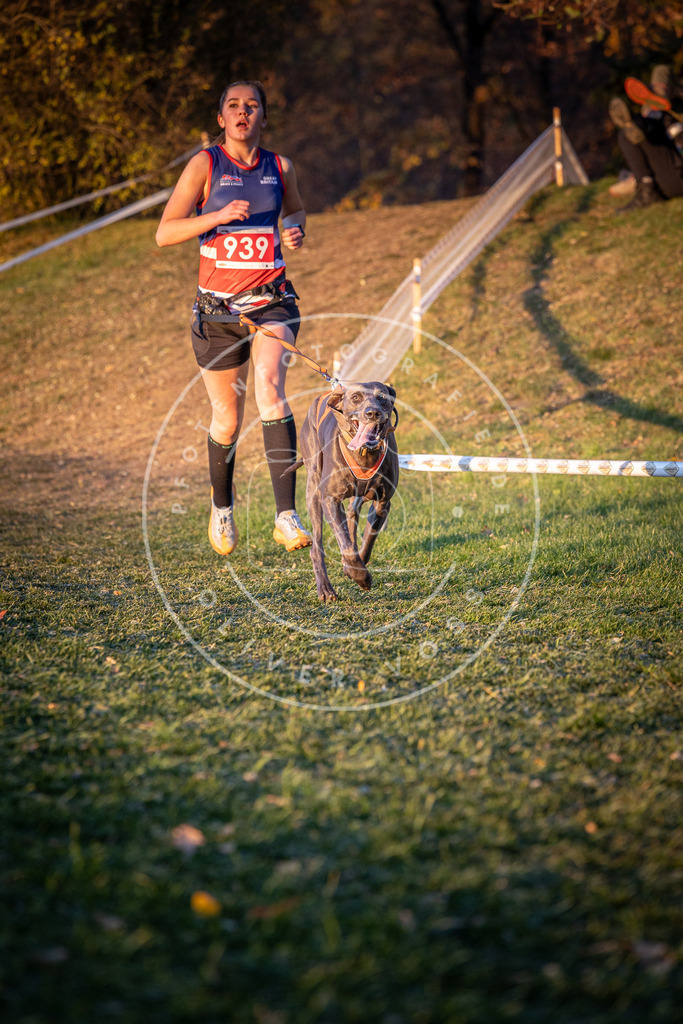 CaniXpix_0L8A1869 | Hundefotografie, Tierfotograf, Pfotenfotografie, Fotoshooting Hund, Hunde Portrait, Hundesport, Hundeportraits, Heideshooting, Hunde, Sportfotograf, Hundefotograf, Turnierhundsport, THS,  - Realisiert mit Pictrs.com